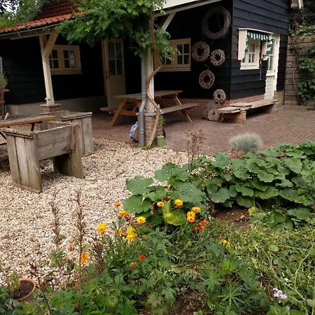 Blue Beech * Lunteren