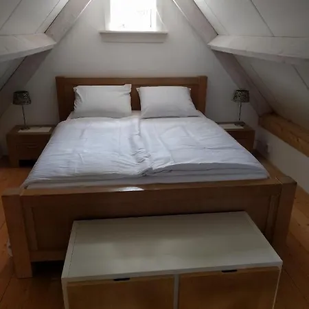 Blue Beech * Lunteren