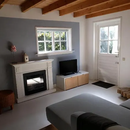 Blue Beech * לונטרן