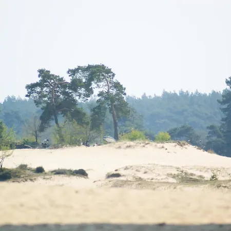 Blue Beech Lunteren