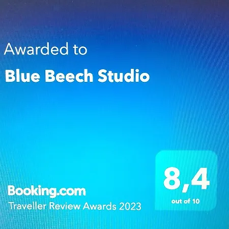 Blue Beech Apartment Lunteren