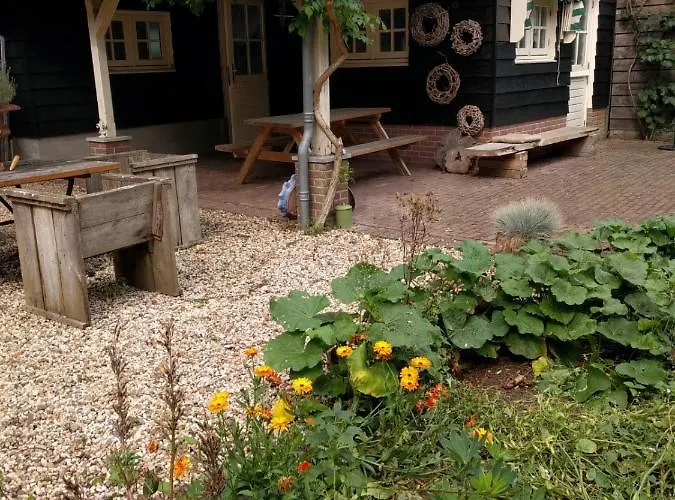 Blue Beech * Lunteren