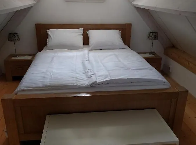 Blue Beech * Lunteren