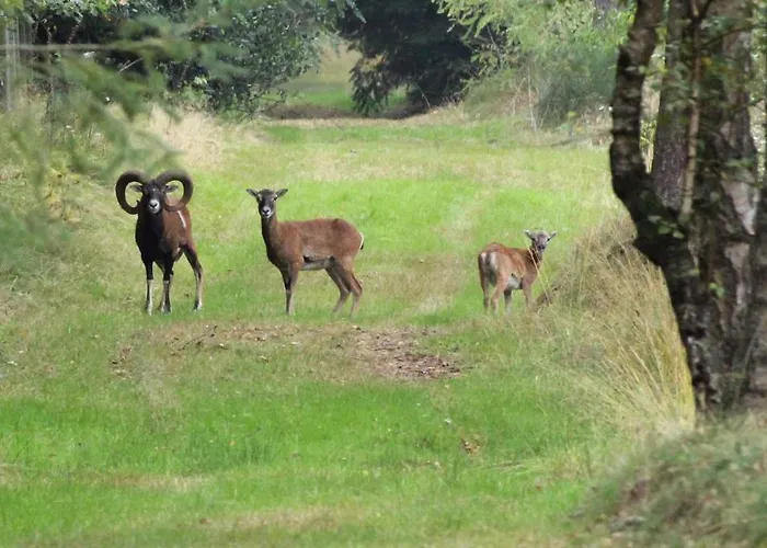 Hotell Blue Beech Lunteren