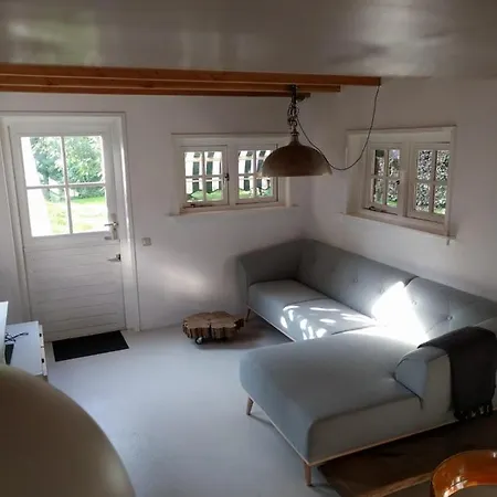 Отель Blue Beech *