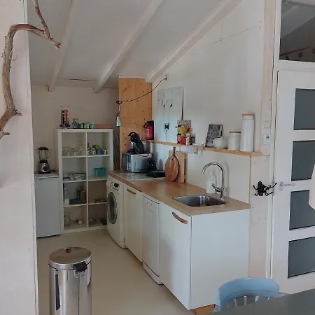 Отель Blue Beech *