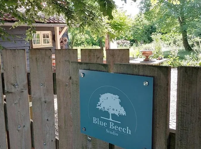 Blue Beech Lunteren