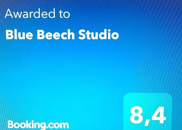 Blue Beech Hotel Lunteren